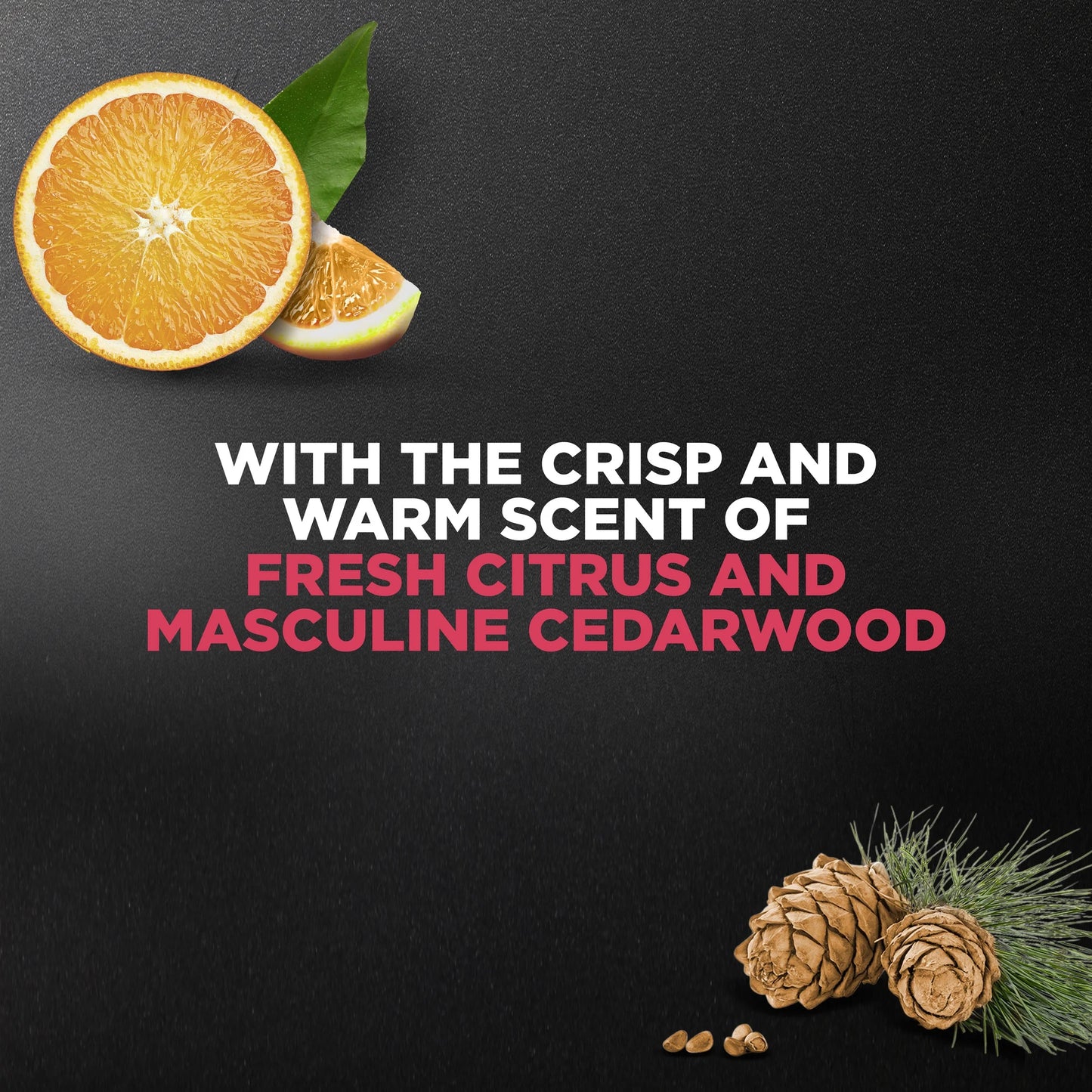 Exfoliating Deep Clean Face & Body Wash for Men Citrus + Cedarwood, 30 Oz